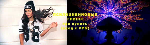эйфоретик Алексин