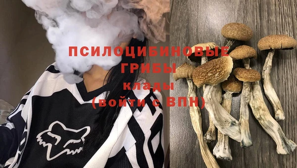 эйфоретик Алексин