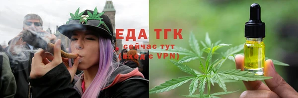 тгк Алзамай