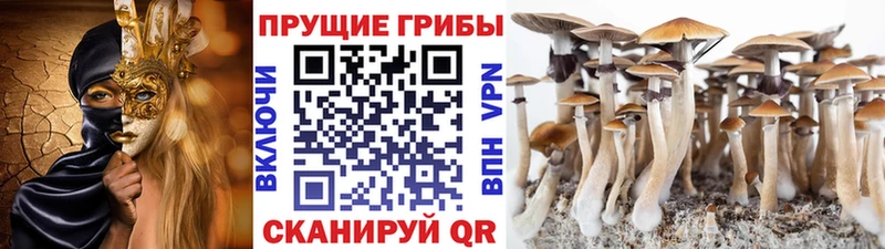 ОМГ ОМГ онион  Петров Вал  Псилоцибиновые грибы ЛСД 
