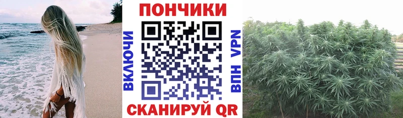 Шишки марихуана тримм  Петров Вал 